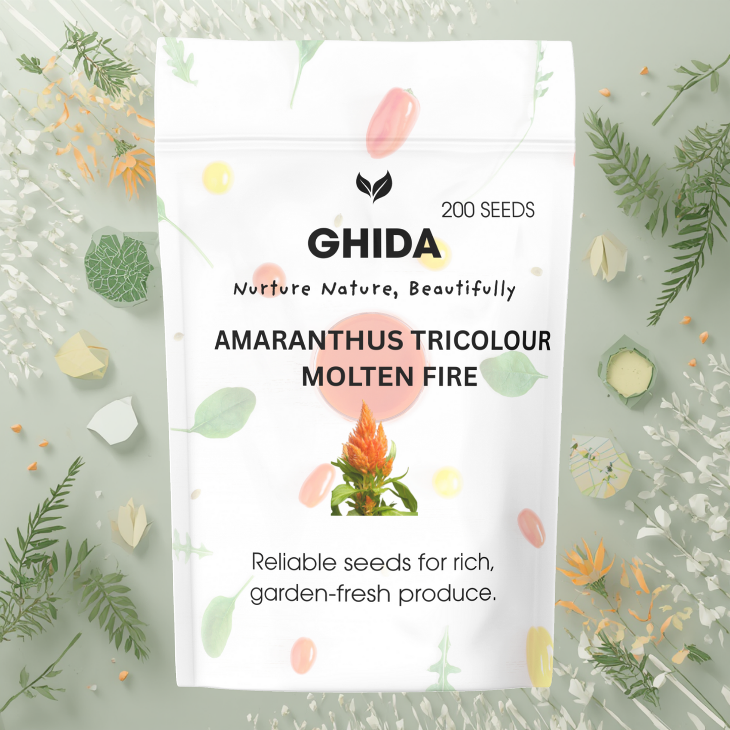 GIDHA AMARANTHUS TRICOLOUR MOLTEN FIRE (200 SEEDS) FOR HOME GARDENIG