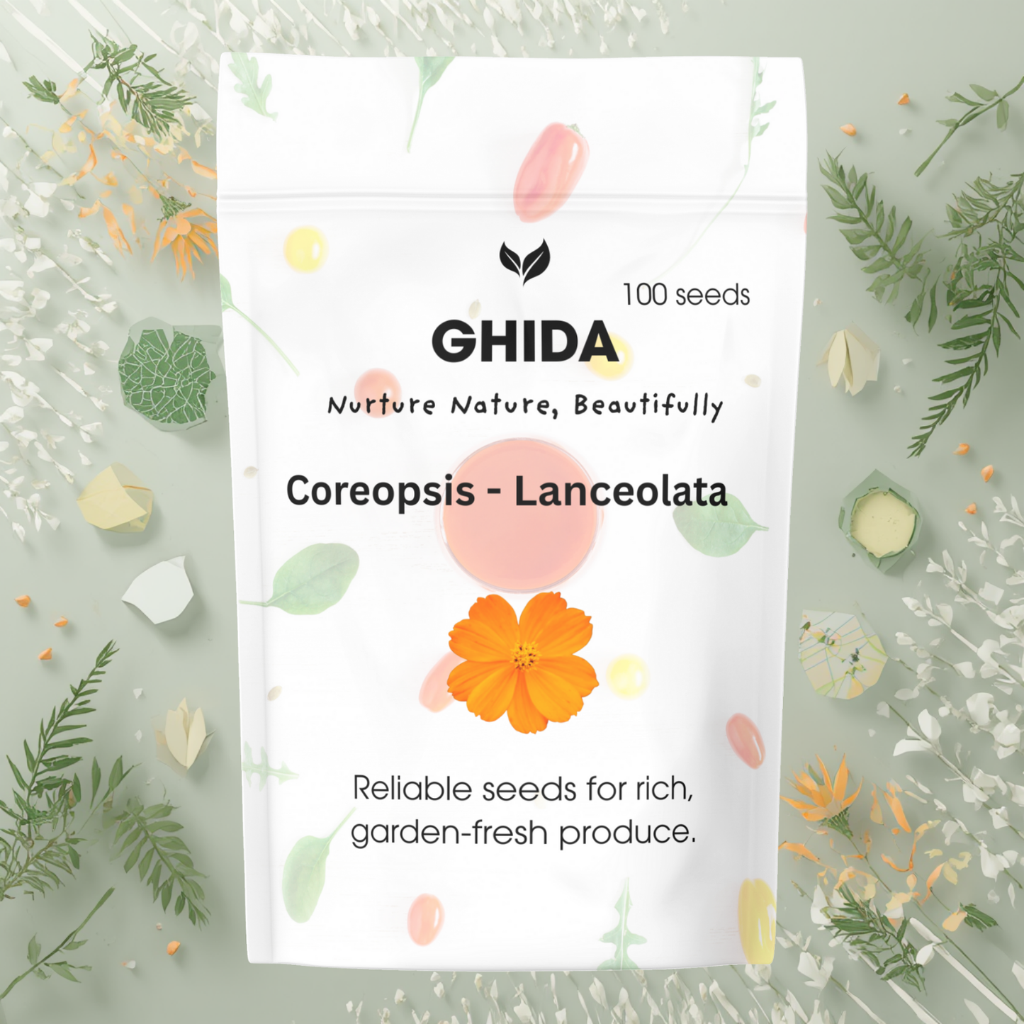 Ghida Coreopsis - Lanceolata (100 seeds) For Home Gardening