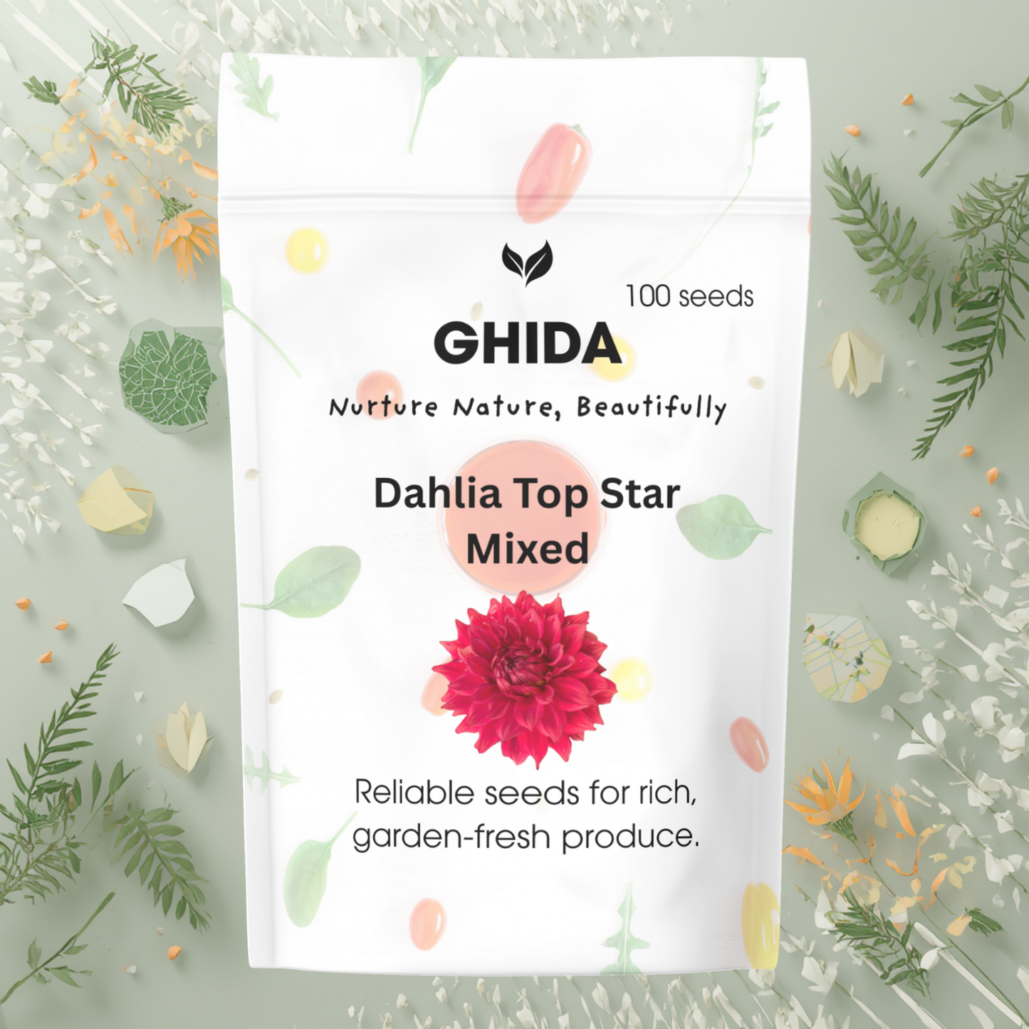 Ghida Dahlia Top Star Mixed ( 100 seeds) For Home Gardening