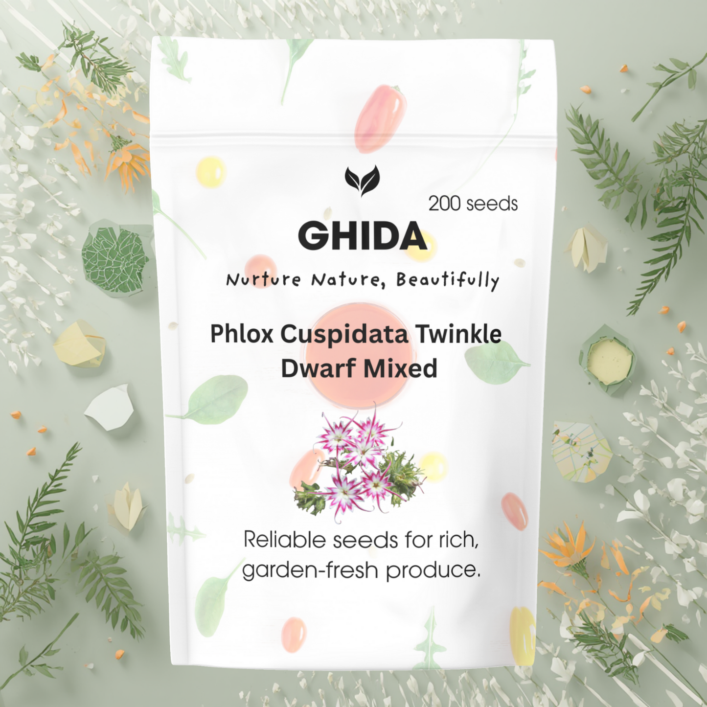 Ghida Phlox Cuspidata Twinkle Dwarf Mixed (200 seeds) For Home Gardening