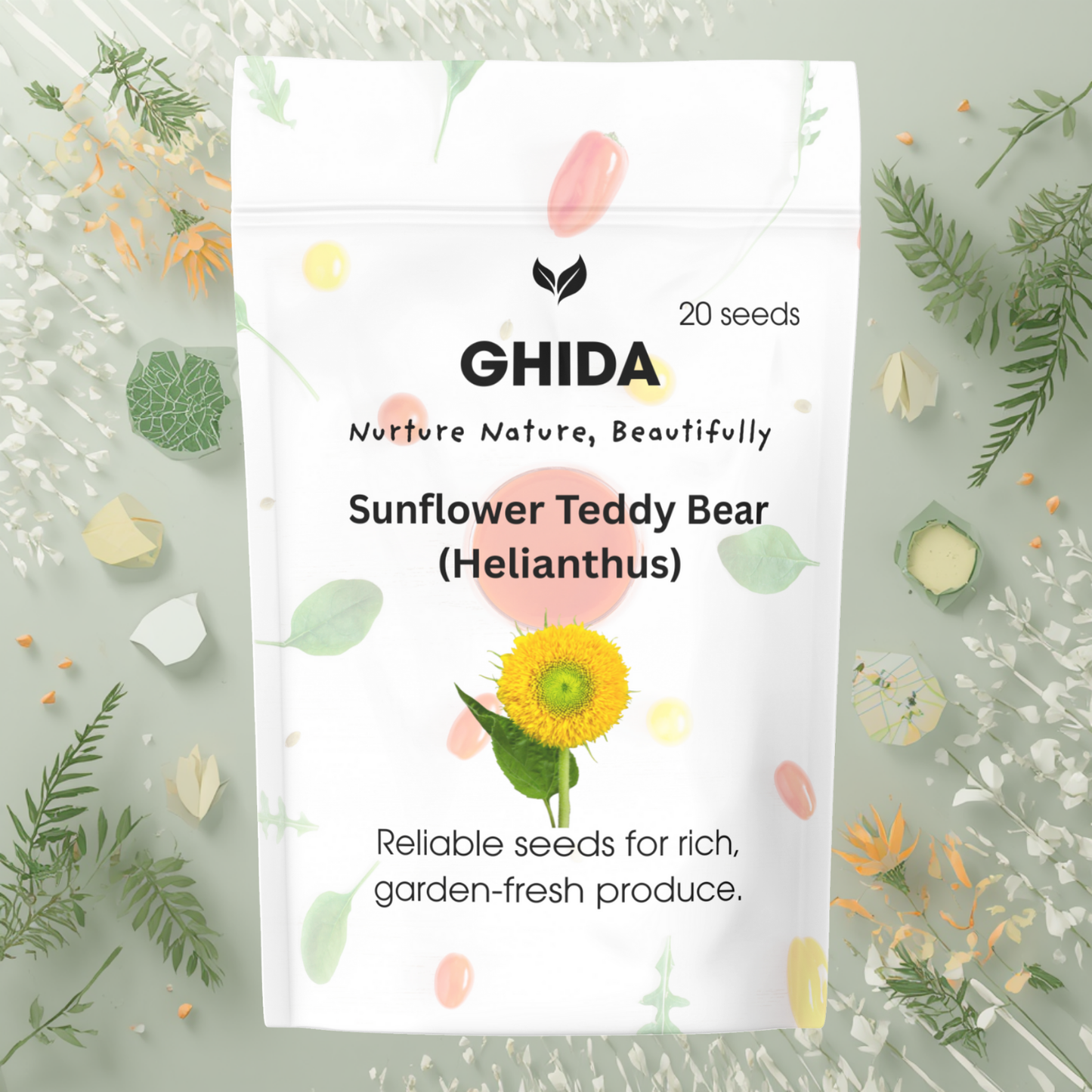 Ghida Sunflower Teddy Bear (Helianthus) (20 seeds) For Home Gardening