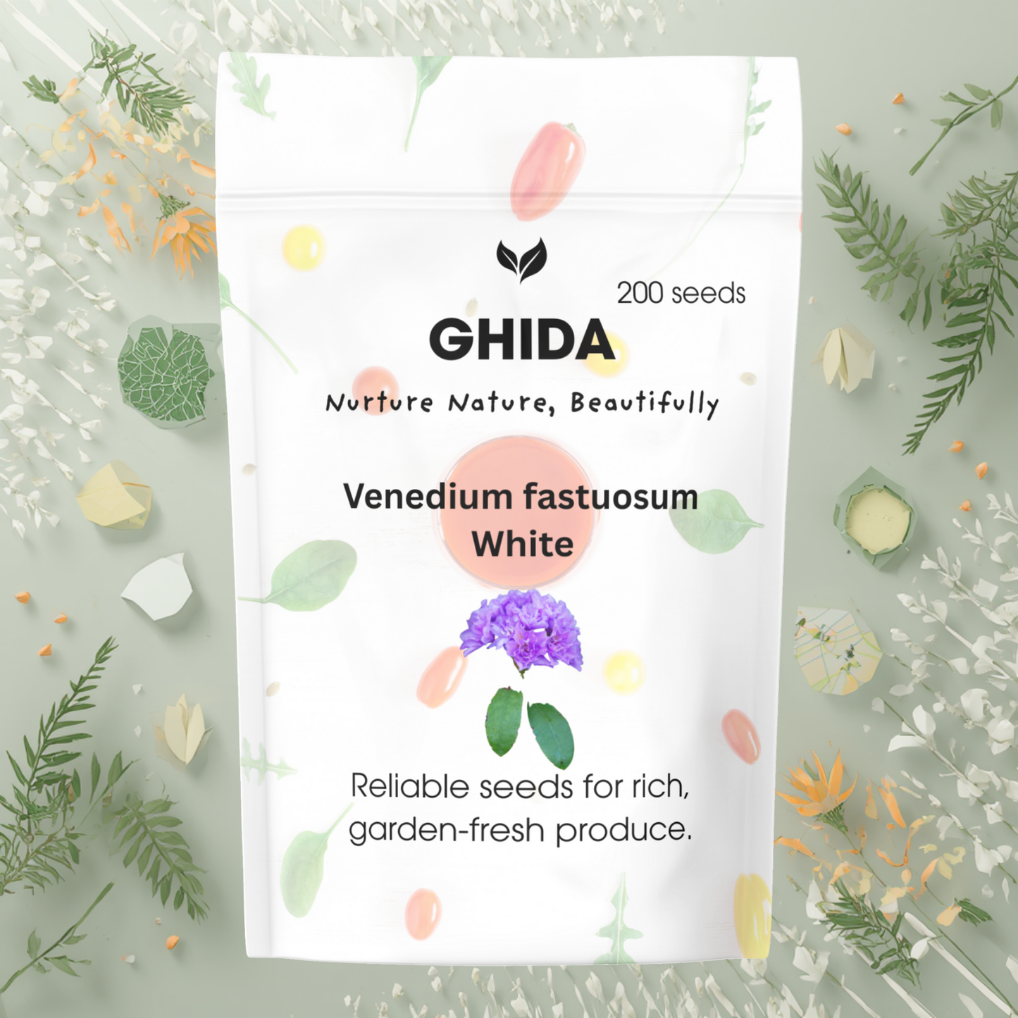 Ghida Venedium fastuosum White (200 seeds) For Home Gardening