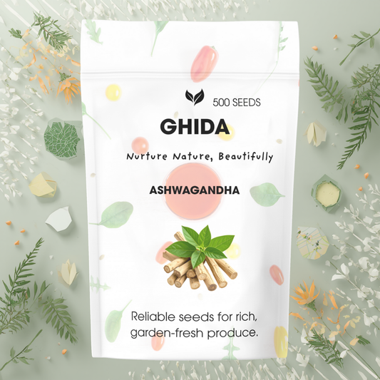 GHIDA Ashwagandha Seeds (500 Seeds) –  for Home Gardening