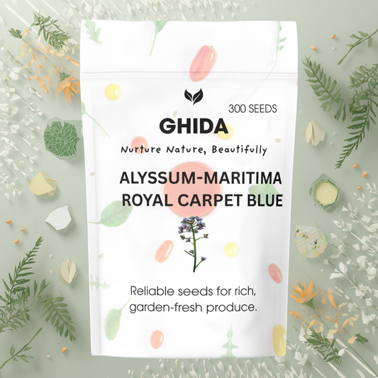 Alyssum-Maritima Royal Carpet Blue (300 seeds) For home Gardening