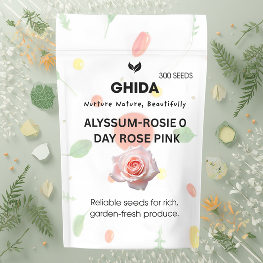 GIDHA ALYSSUM-ROSIE O  DAY ROSE PINK (300 SEEDS) FOR HOME GARDENING