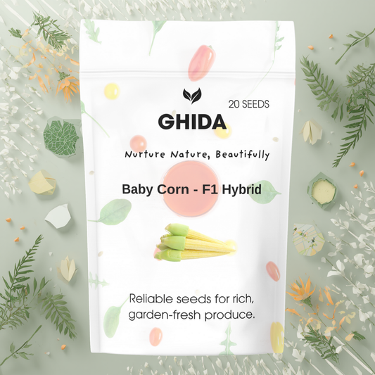 GHIDA BABY CORN SEEDS(20 SEEDS)-FOR HOME GARDENING