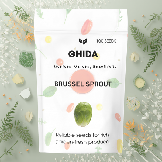 GHIDA BRUSSELS SPROUTS SEEDS (100 SEEDS) FOR HOME GARDENING