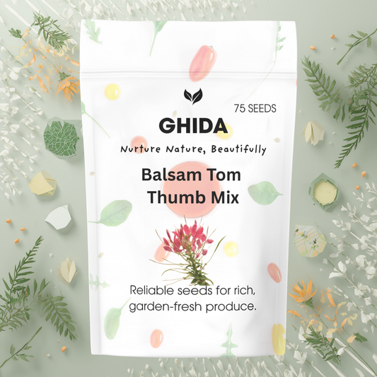 Ghida  Balsam Tom  Thumb Mix (75 seeds) For Home Gardening