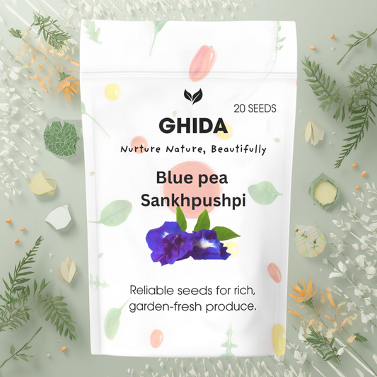 Ghida Bellis - Perennis  Pomponette Mixed (20 Seeds) For Home Gardening