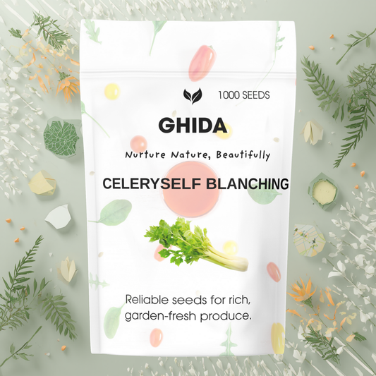 GHIDA CELERY SELF BLANCHING (1000 Seeds) –  for Home Gardening