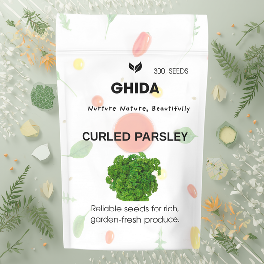 GHIDA CURLED PASLEY  (300 Seeds) –  for Home Gardening