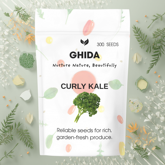 GHIDA CURLY KALE  (300 Seeds) –  for Home Gardening