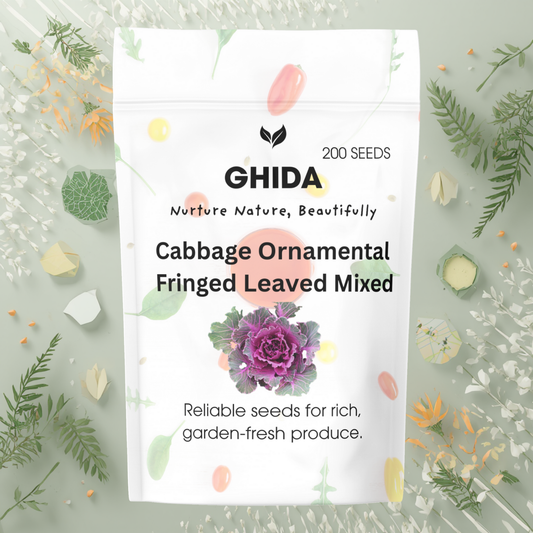 Ghida Cabbage Ornamental  Fringed Leaved Mixed(200 Seeds)  For Home Gardening