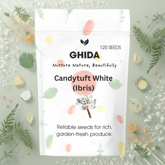 Ghida Candytuft White (Ibris) ( 125 seeds) For Home Gardening