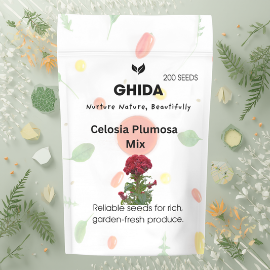 Ghida Celosia Plumosa  Mix (200 Seds) For Home Gardening