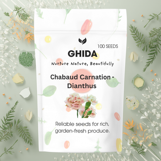 Ghida Chabaud Carnation - Dianthus (100 Seeds) For Home Gardening
