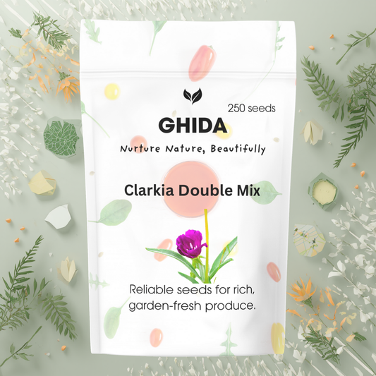 Ghida Clarkia Double Mix (250 seeds ) For Home Gardening