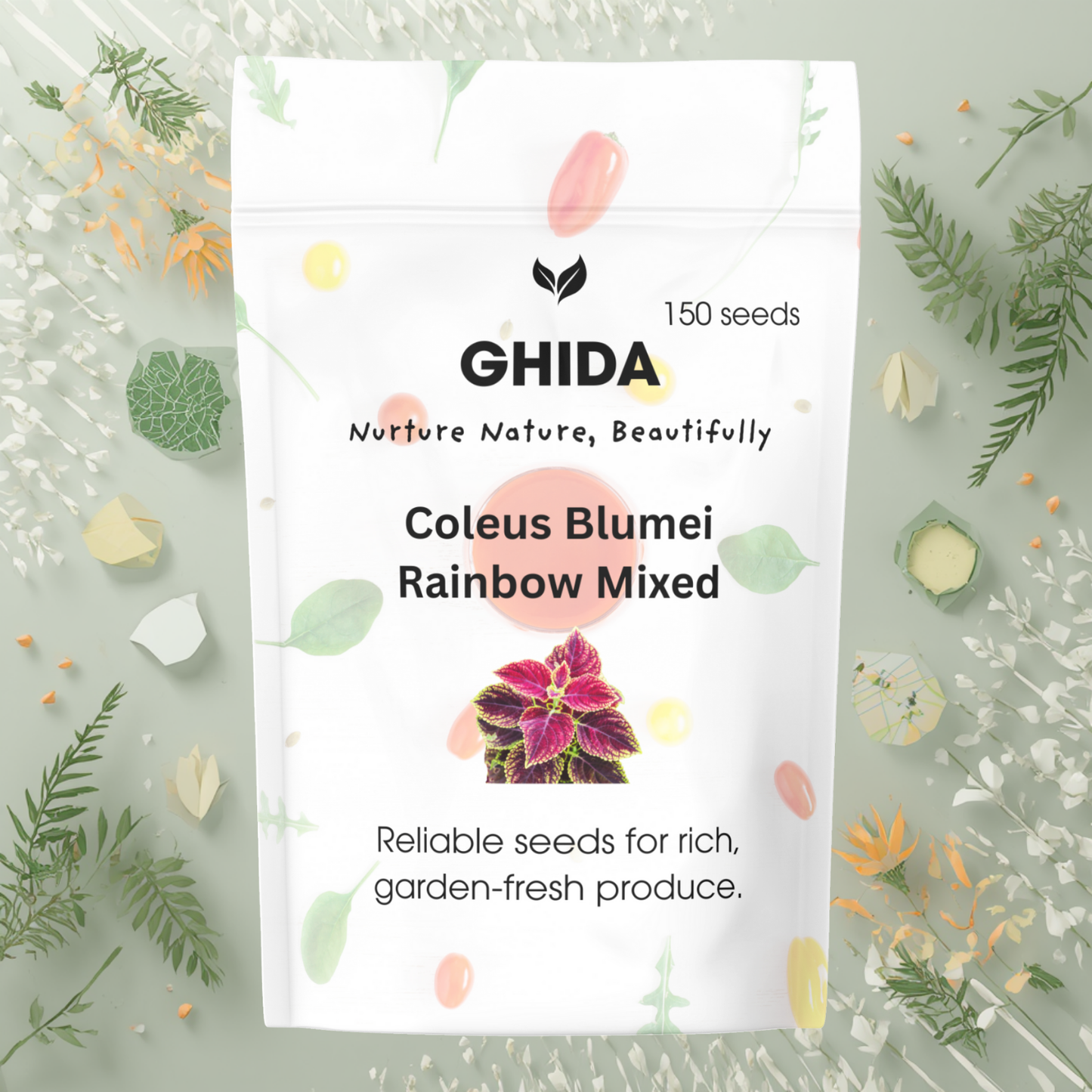 Coleus Blumei Rainbow Mixed ( 150 seeds)