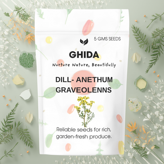 GHIDA DILL-ANETHUM GRAVEOLENNS(5 GMS) - FOR HOME GARDAINING