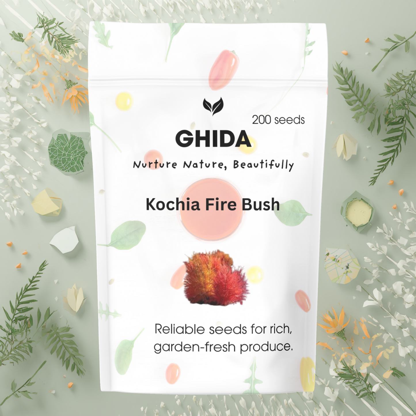 Ghida Kochia Fire Bush(200 seeds) For Home Gardening