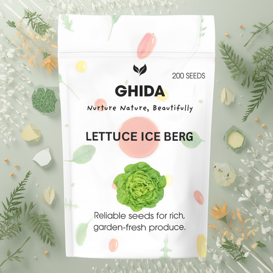 GHIDA LETTUCE ICE BERG(200) FOR HOME GARDENING