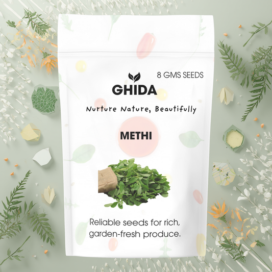 GHIDA Methi Seeds (Fenugreek) 8 GMS – High Germination Vegetable Seeds for Home Garden, Organic Growing, Fresh Green Leaves & Microgreens