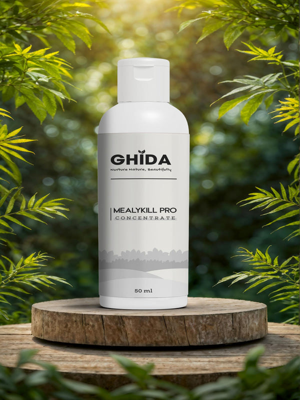 Mealy Bug Hunter, Premium Essential Organic Powerful Liquid Spray for Removing Mealy Bugs from Plants.