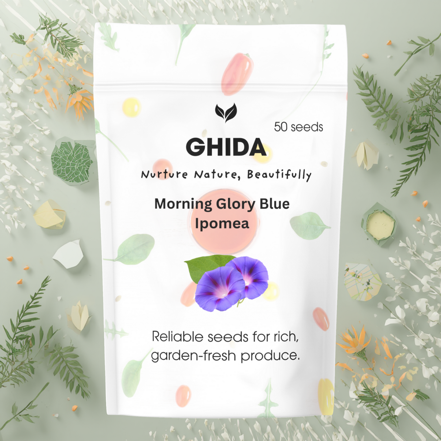 Ghida Morning Glory Blue Ipomea (50 seeds) For Home Gardening