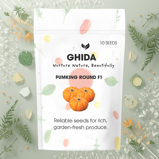 GHIDA Pumpkin Round F1 Seeds (10 Seeds) – High Yield Hybrid Pumpkin Seeds for Home Garden & Organic Vegetable Growing