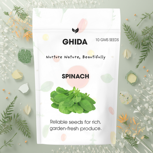 GHIDA Spinach Seeds – 10 g Pack for Fresh, Healthy Home Gardens
