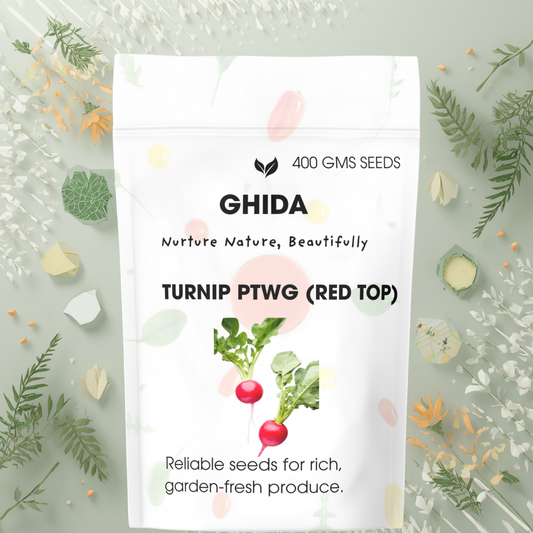 GHIDA Turnip PTWG (Red Top) Seeds – Premium Quality Vegetable Seeds (400 g)