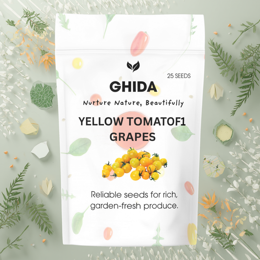 GHIDA YELLOW TOMATO GRAPES (25 SEEDS) FOR HOME GARDENING